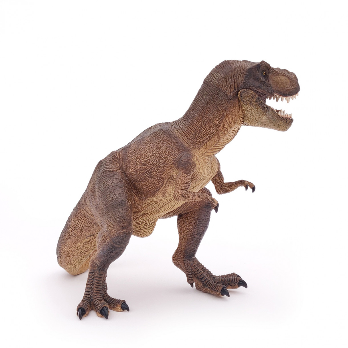 Tyrannosaurus rex