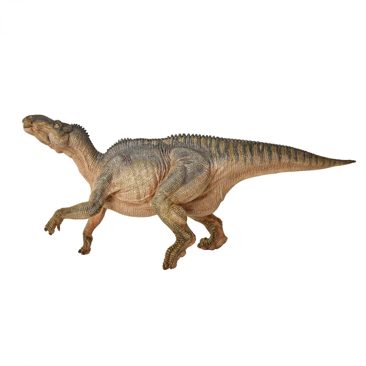 Ειδώλιο Iguanodon