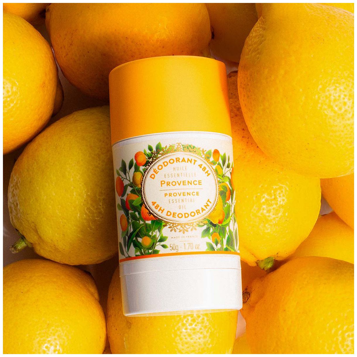 Ξηρό αποσμητικό 50 γρ. Προβηγκία