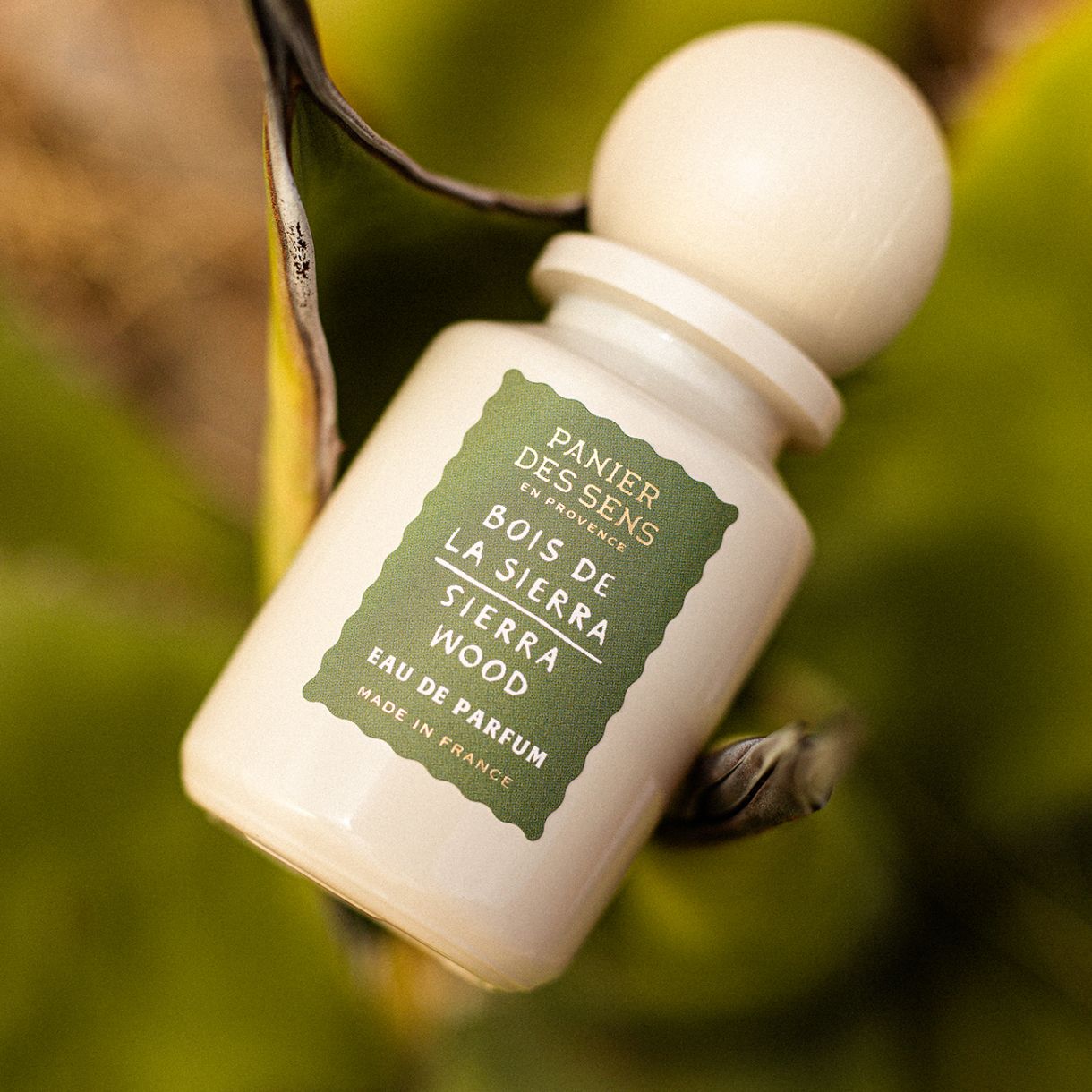 Πολυτελές άρωμα Sierra Forest 50 ml