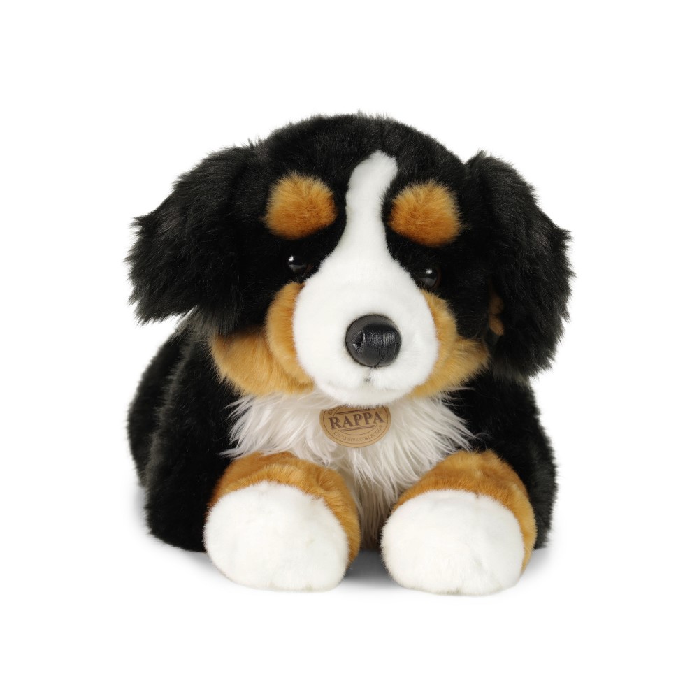 Μεγάλο βελούδινο Bernese Mountain Dog 61 cm.