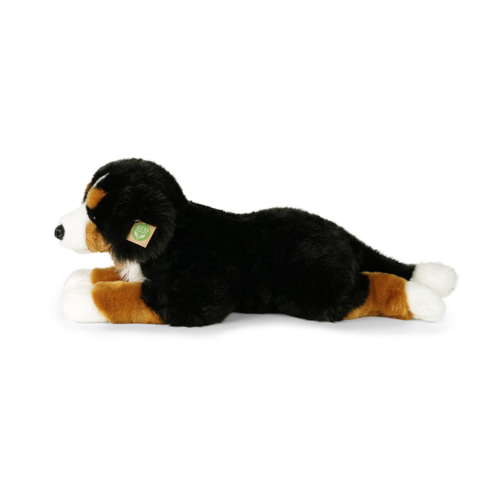 Μεγάλο βελούδινο Bernese Mountain Dog 61 cm.