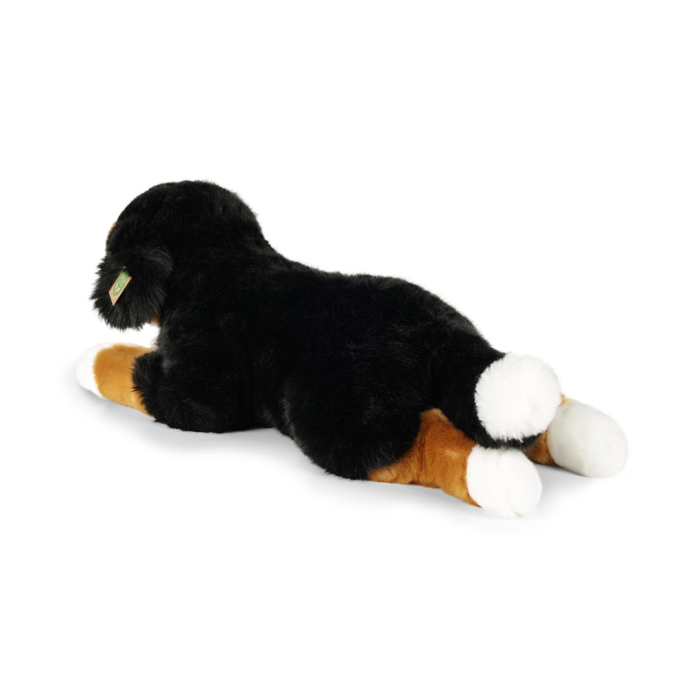 Μεγάλο βελούδινο Bernese Mountain Dog 61 cm.