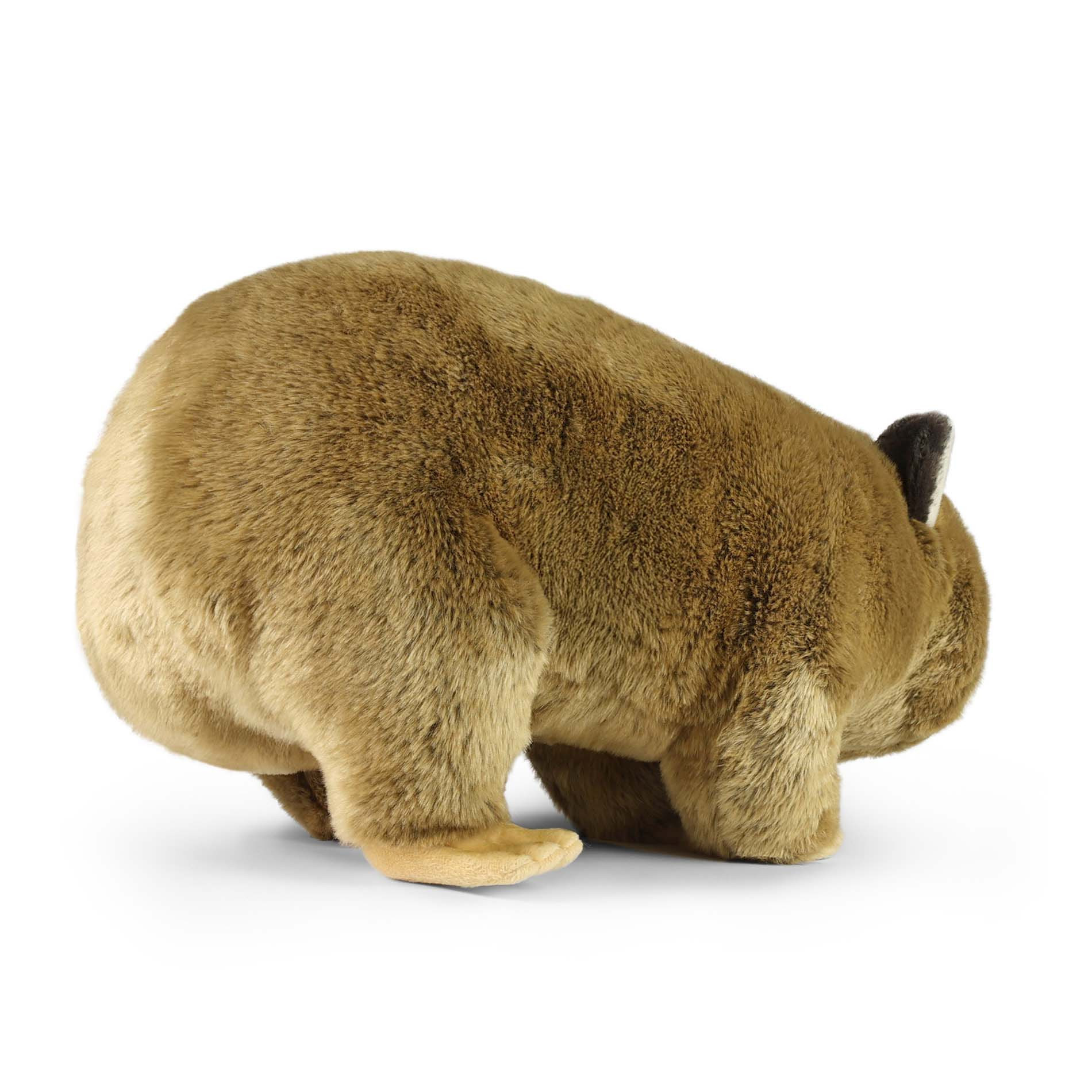Λούτρινο Μεγάλο Wombat 57 εκ. Σειρά Eco Friends