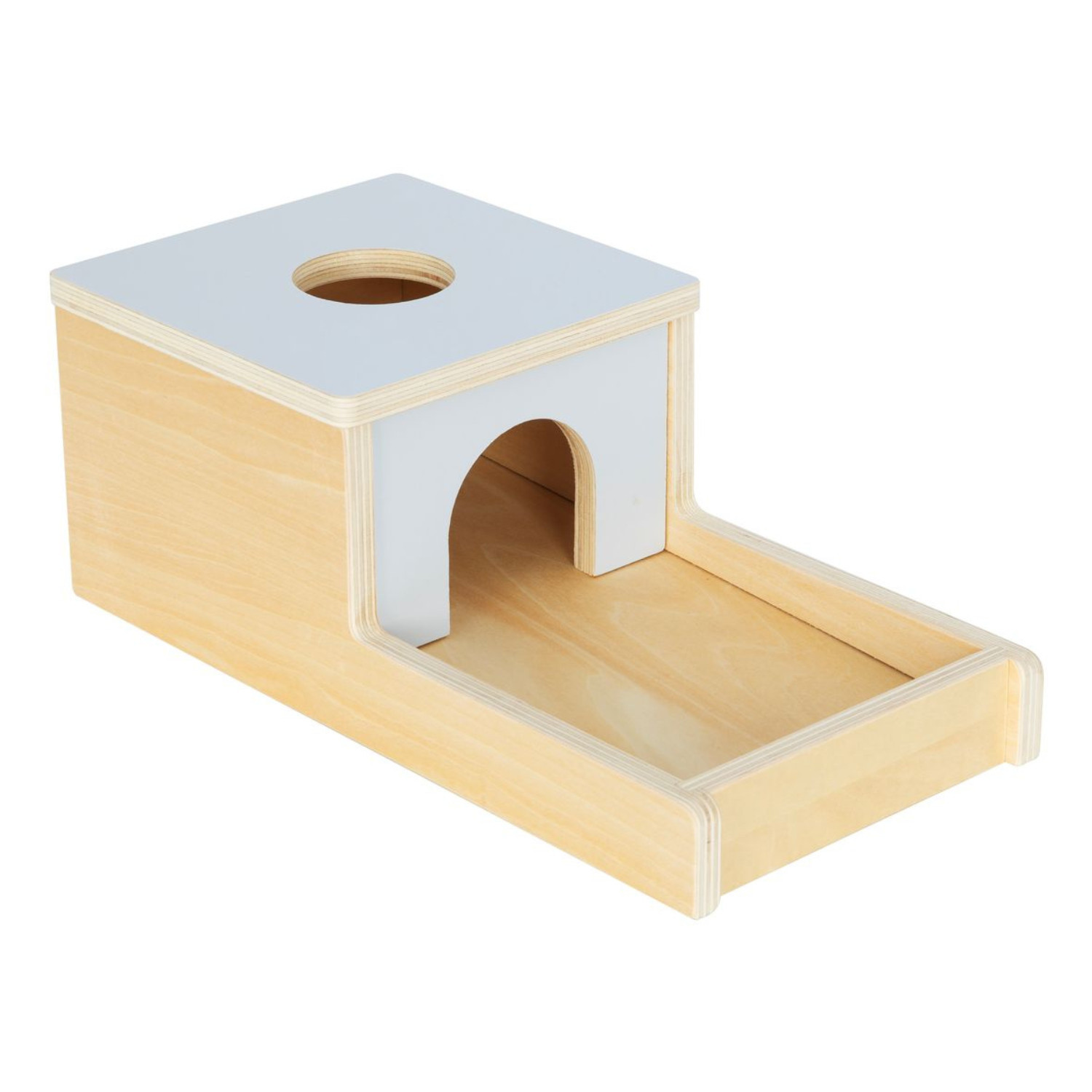 Ξύλινο κουτί με μπάλες Παστέλ Ηλικία: 6 μηνών+