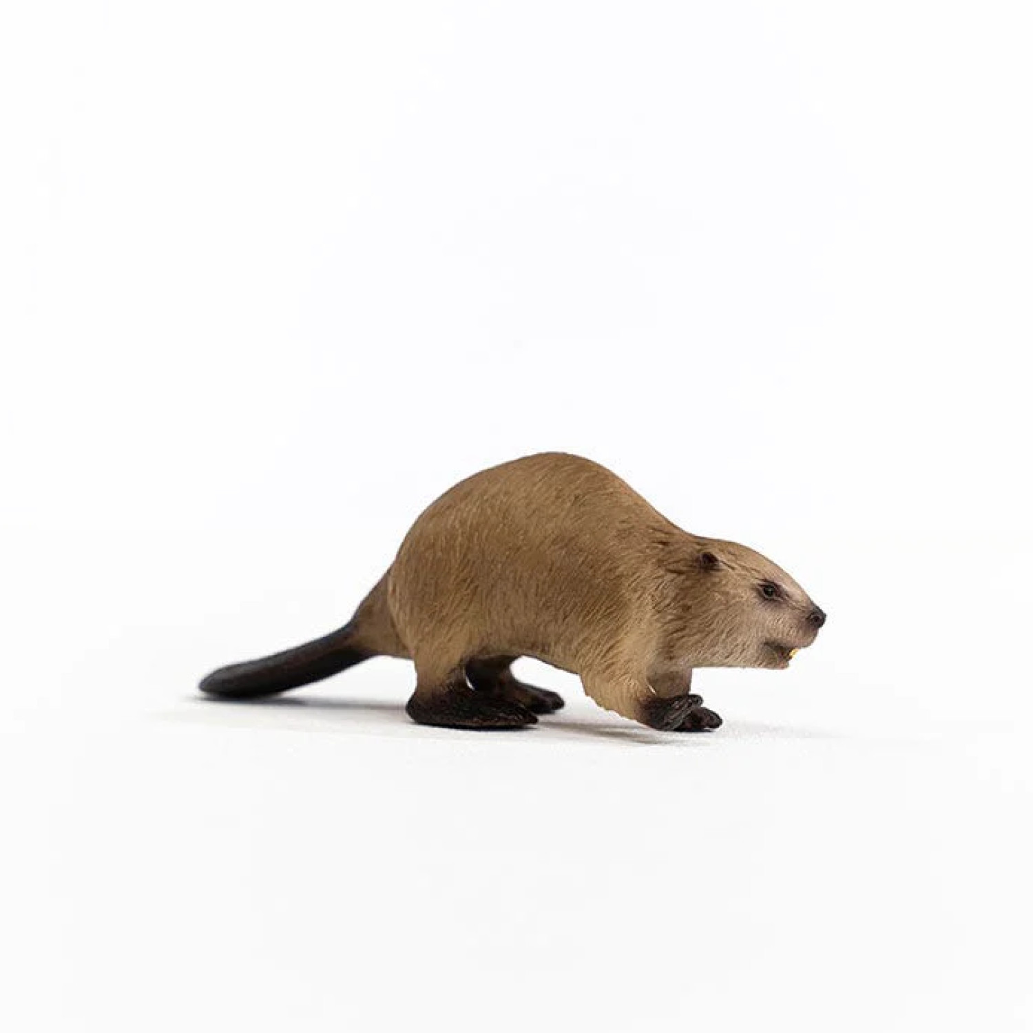 Φιγούρα Κάστορα, Schleich Ηλικία: 3+ Μέγεθος: 9.8x3.5x2.8cm