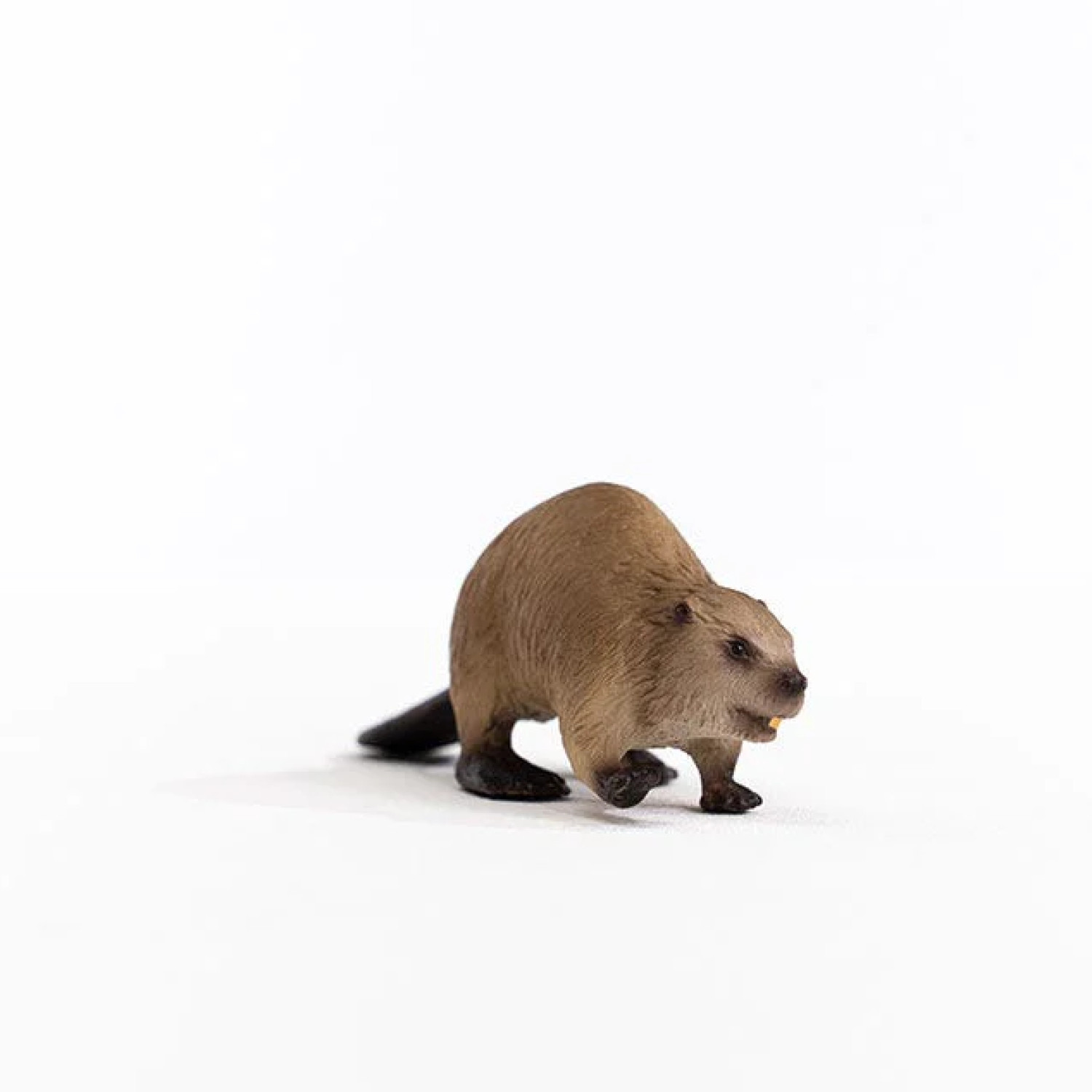 Φιγούρα Κάστορα, Schleich Ηλικία: 3+ Μέγεθος: 9.8x3.5x2.8cm