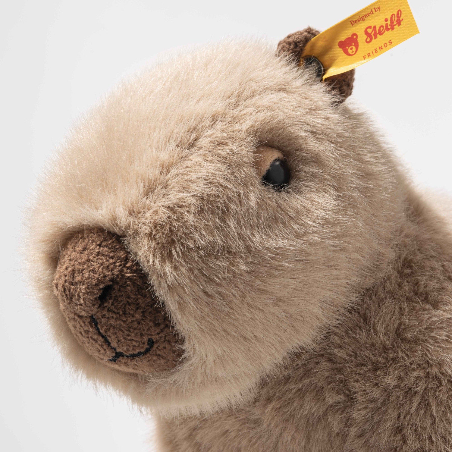 Μέγεθος Capybara Chip: 23 εκ. Τάξη: Φίλοι