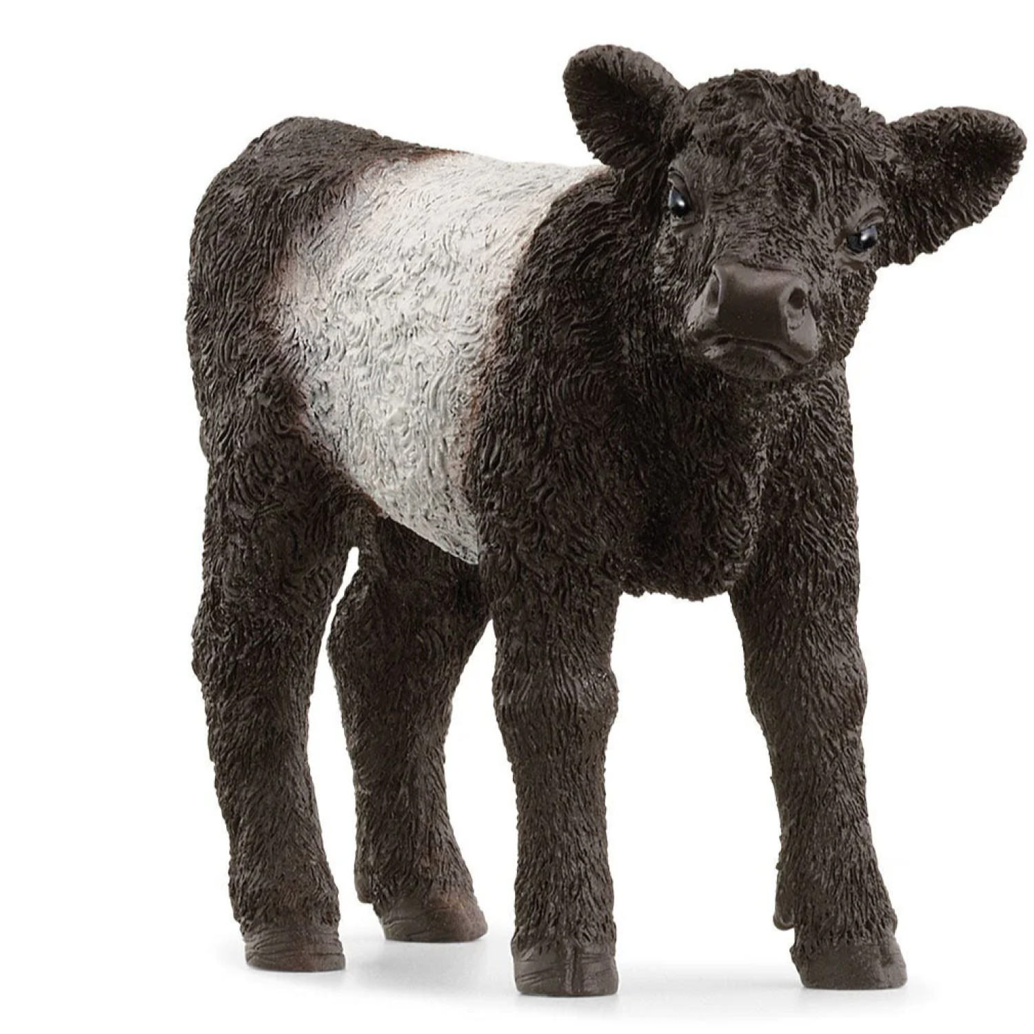 Ειδώλιο μοσχαριού Galloway, Schleich Ηλικία: 3+ Μέγεθος: 8.3x2.5x5.7 εκ.
