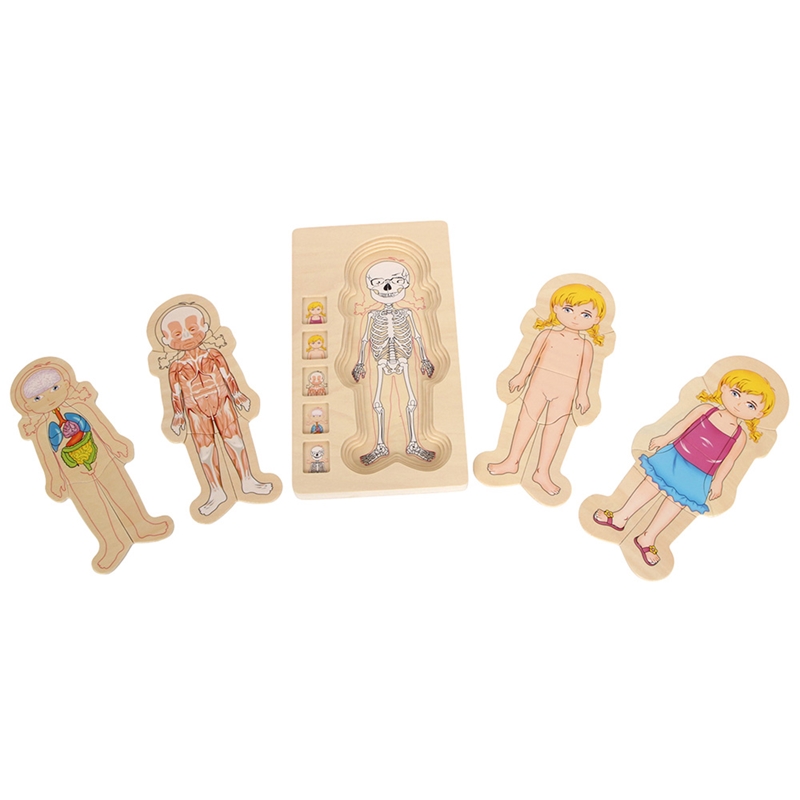 Small Foot Puzzle Σώμα κοριτσιού, σε στρώσεις, ξύλινο, 28 τεμαχίων