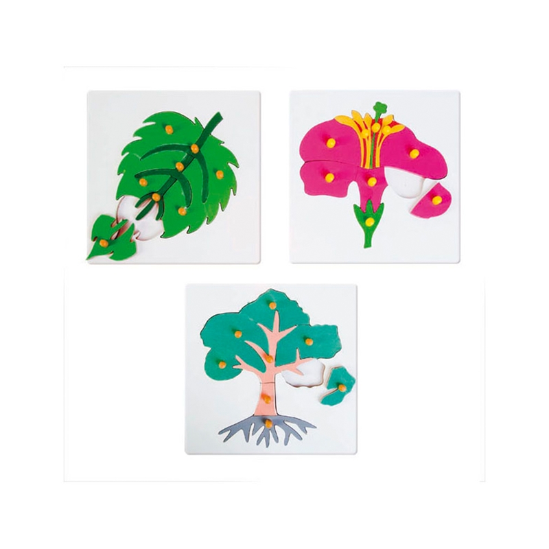 Παζλ Nowa Szkola Botanical, 25 x 25 εκ