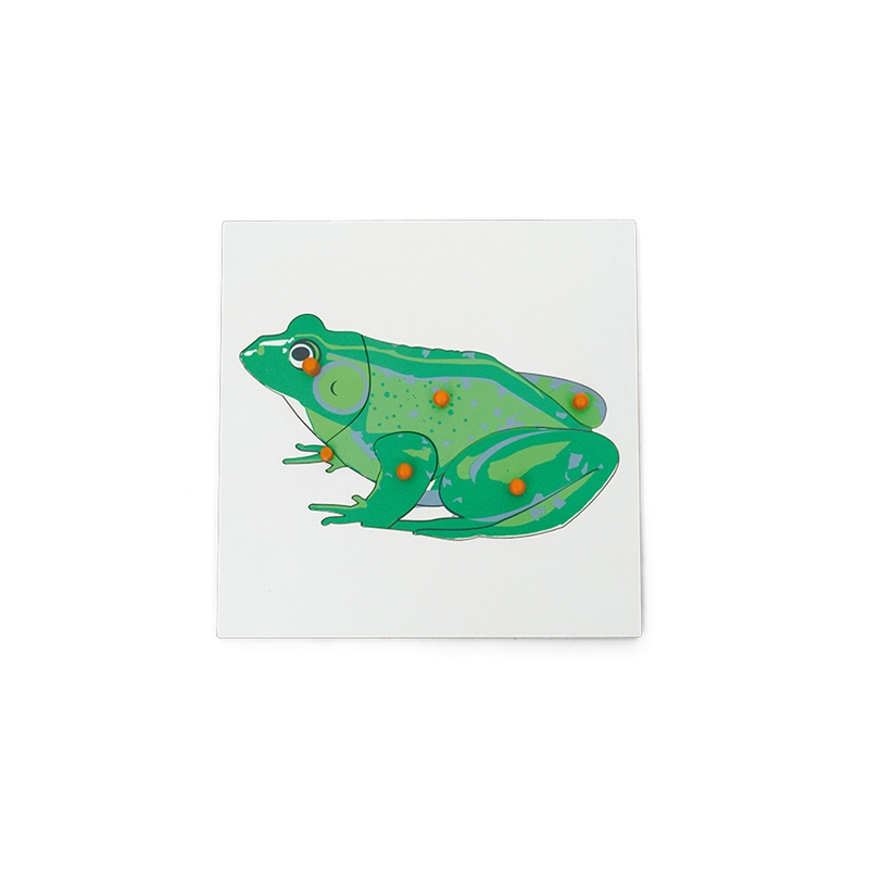 Nowa Szkola Puzzle Frog, ξύλινο, 6 τεμάχια