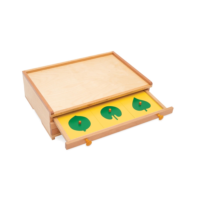 Ντουλάπι Nowa Szkola Montessori, βοτανικό, ξύλινο, 47,5 x 14 x 32,5 cm