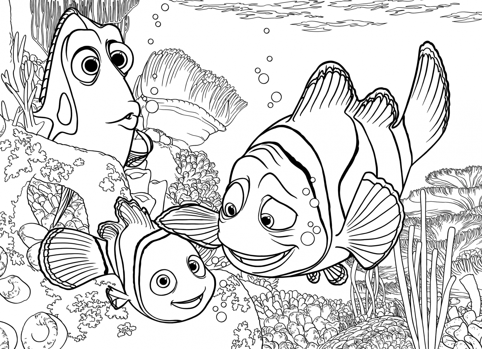 Παζλ, Lisciani, Nemo, Παζλ διπλής όψης 24 τεμαχίων