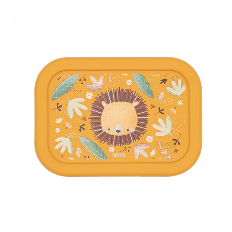 Διαχωριστικό κουτί μεσημεριανού γεύματος σιλικόνης, Sassi, Leo
