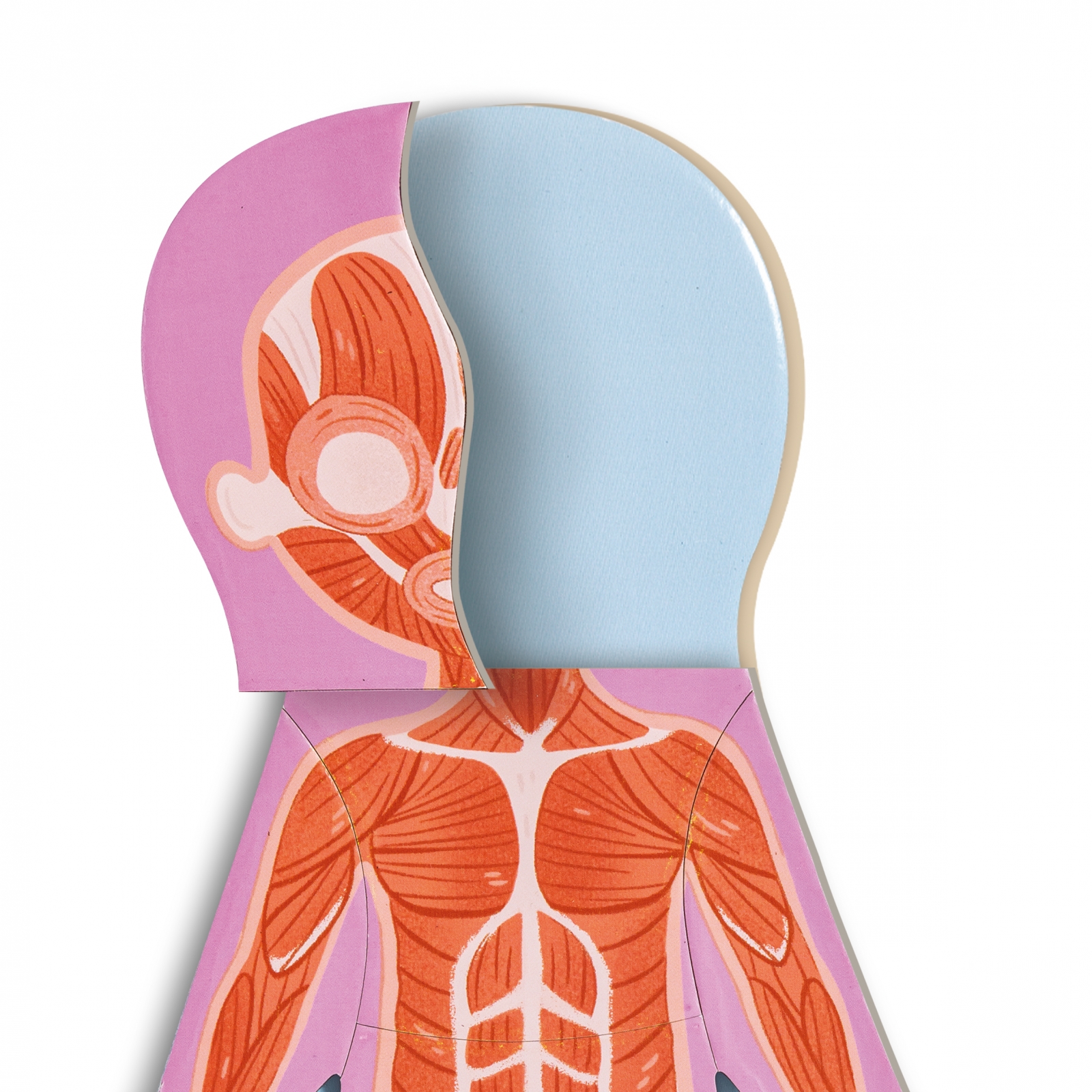 Εκπαιδευτικό μαγνητικό παζλ, Hape, ανθρώπινο σώμα, 68 τεμάχια