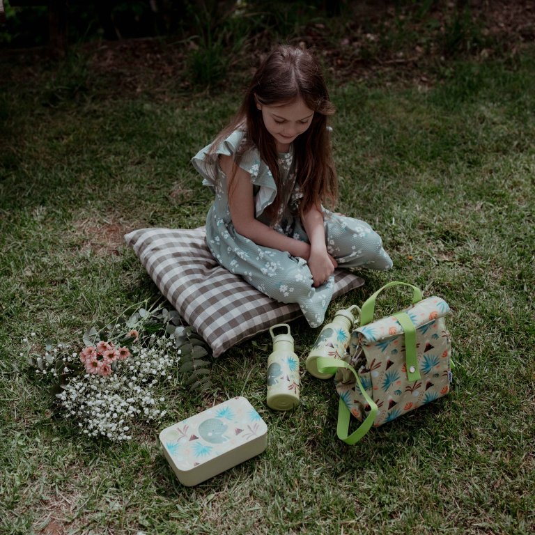 Lunchbox, Sassi, Dinosaur