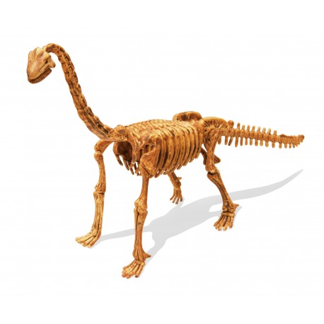 Dinosaurs - Dino Set - Brachiosaurus