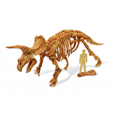 Dinosaurs - Dino Set - Triceratops