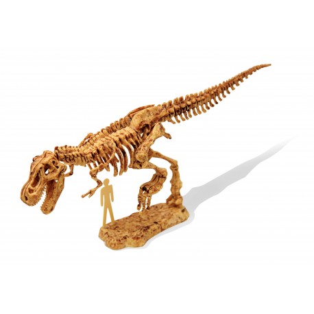 Dinosaurs - Dino Set - Tyrannosaurus